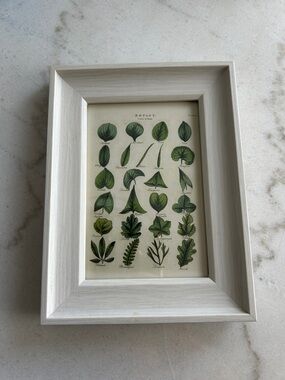 Framed Botanical Leaf Print - Green and Cream